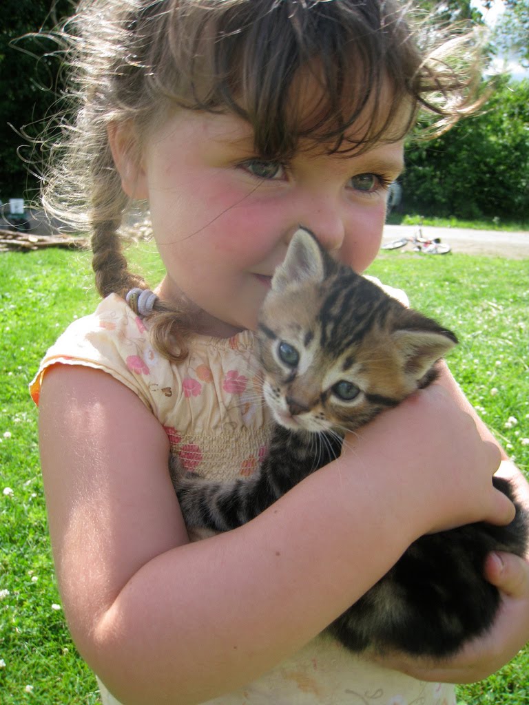 20 фотопримеров трогательной дружбы детей и кошек дети, животные, кот, котенок