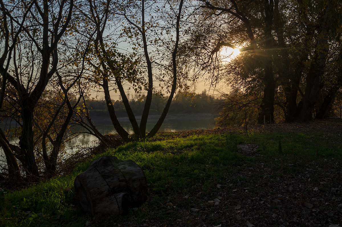 Родные просторы Родные просторы