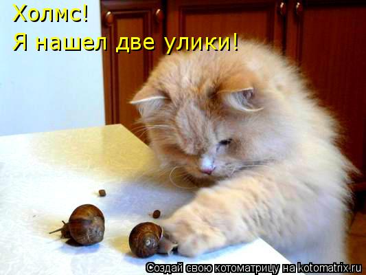 Мысли вслух :)