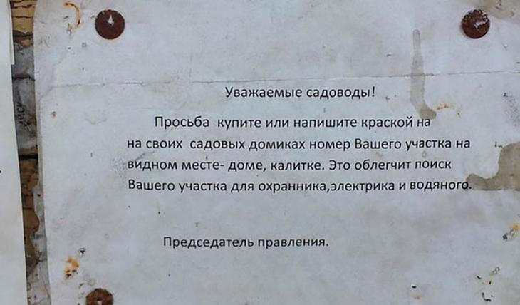 16 надписей, которые могут войти в историю своей неповторимой оригинальностью