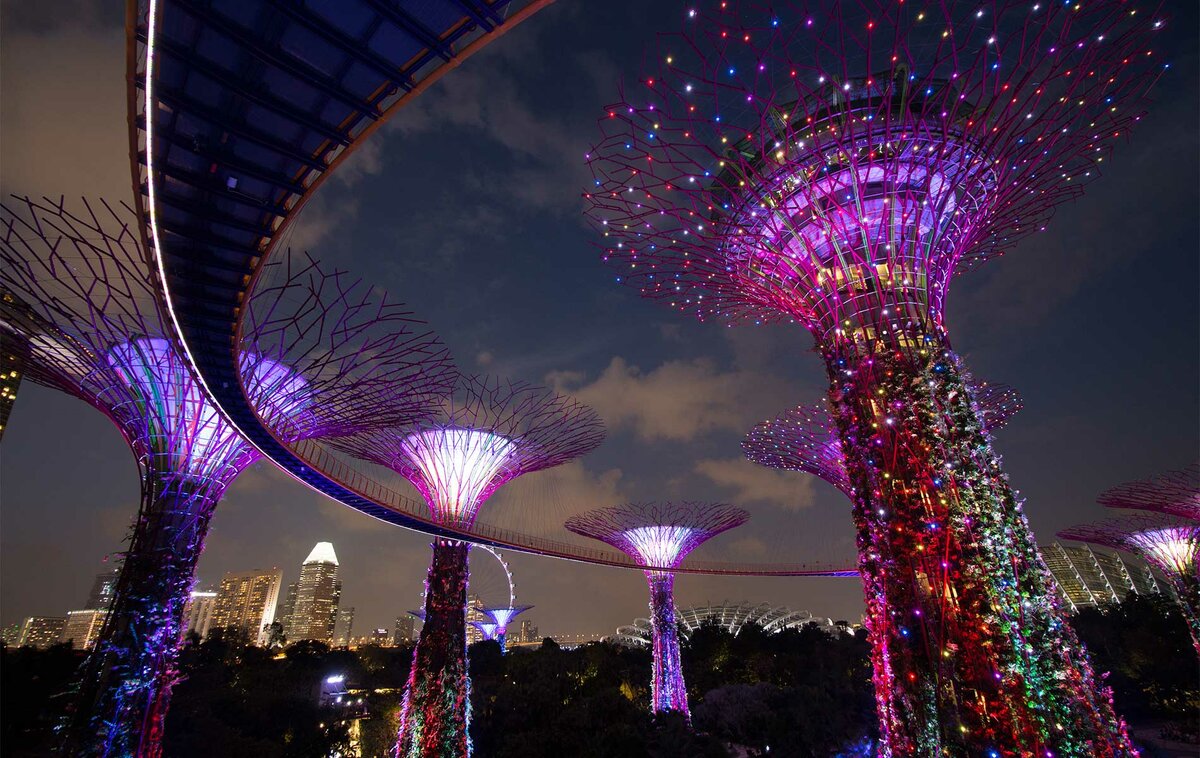 Деревья, на которых растут деревья - необычный парк в Сингапуре архитектура,города,интересные факты,парки,путешествия,сингапур
