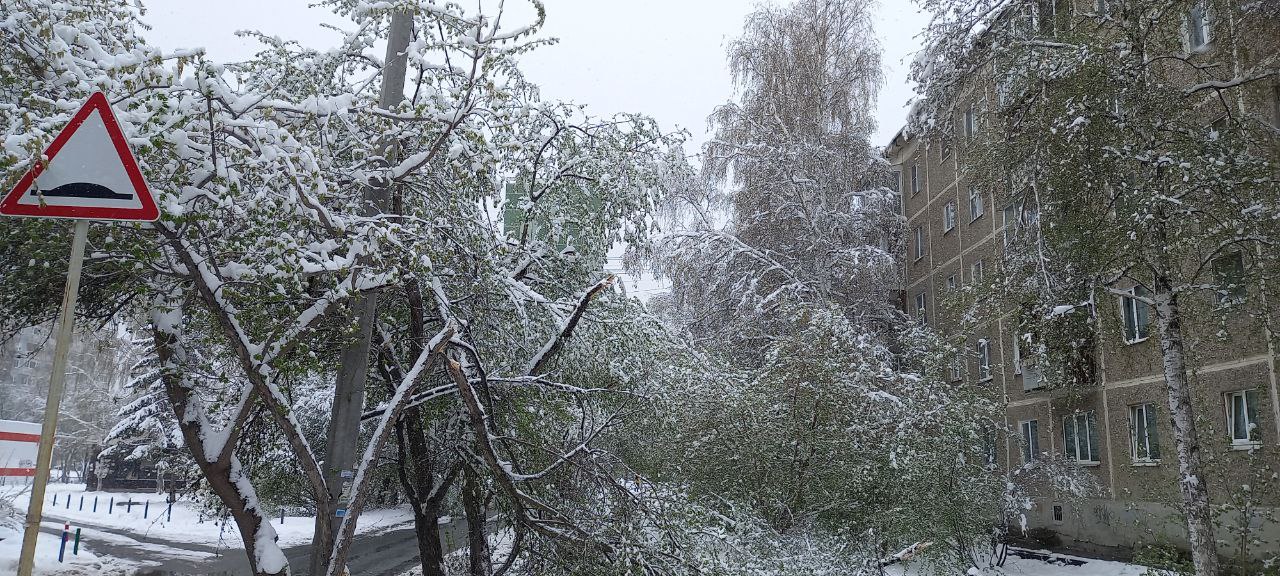 Из-за снегопада в свердловском городе Дегтярске введён режим ЧС