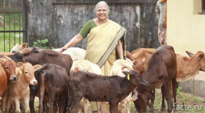 Самые маленькие животные в мире животные,интересное,природа,рекорды