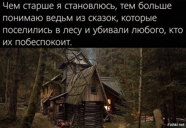 Возможно, это изображение (текст «чем старше я становлюсь, тем больше понимаю ведьм из сказок, которые поселились в лесу и убивали любого, кто их побеспокоит. Fishki. net»)