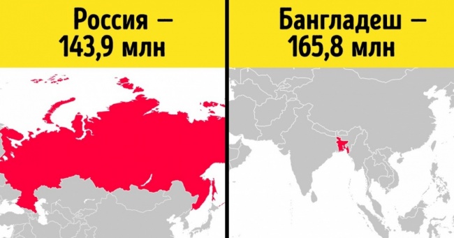 14 фактов из мира статистики, которые заинтересуют даже тех, кто не любит цифры интересное