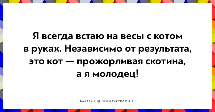 20 открыток о нелегкой жизни котов и их владельцев 20 открыток о нелегкой жизни котов и их владельцев