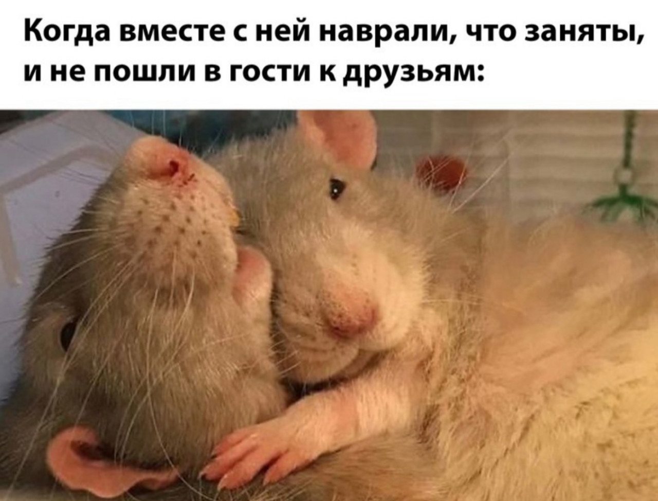 Юмор за день 