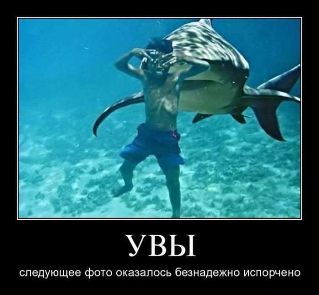 Прикольные картинки для ценителей чёрного юмора 