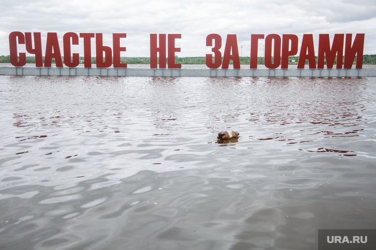 В перми на неделю