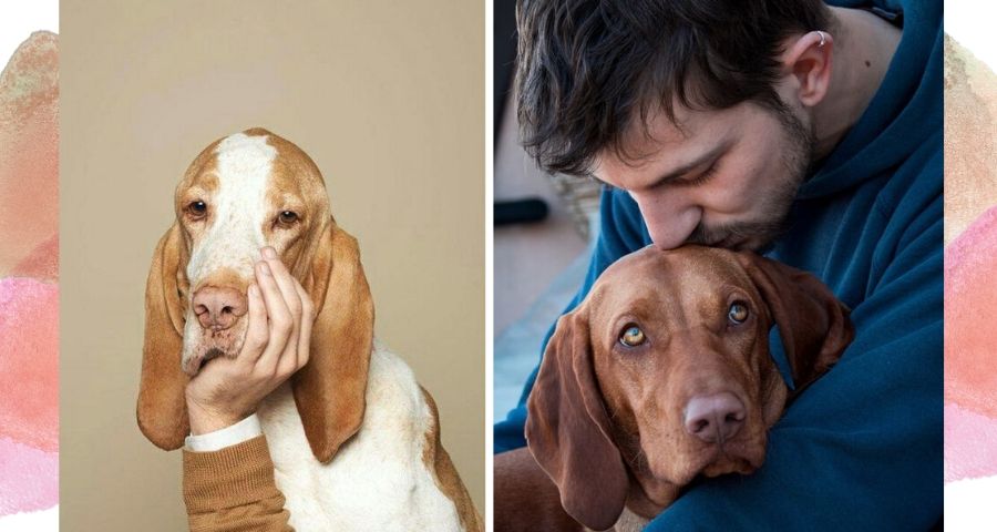 Эффект питомца: как забота о собаке делает вас счастливее