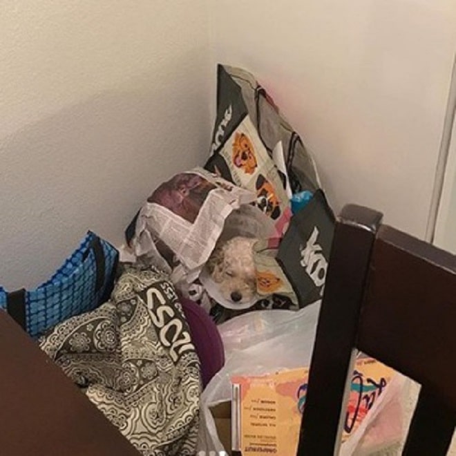 Гора из газет