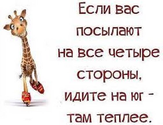 - Ну , как у вас с детьми?  - Устали очень, не высыпаемся, времени на себя вообще нет... весёлые