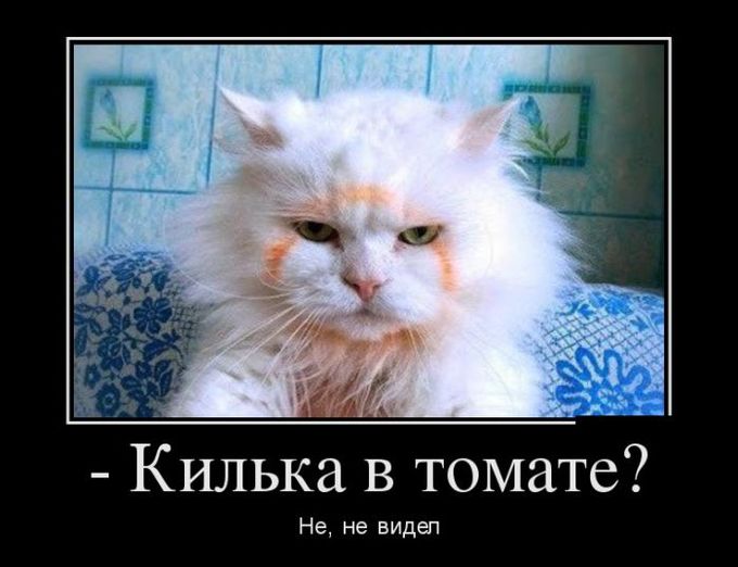 Подборка интересных и веселых картинок №55 Подборка интересных и веселых картинок №55 отдых