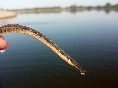 Фото: Евгений Кузнецов.
