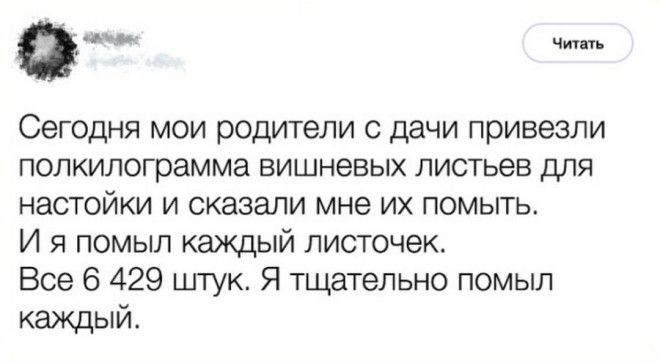 20 поступков родствеников, которые сделают ваш день юмор, родственники