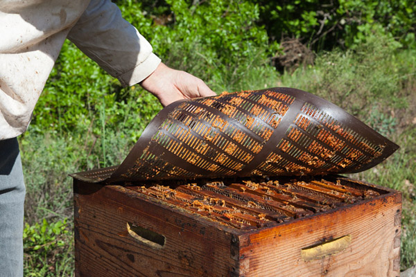 ÐšÐÐº Ð¿Ð¾ÐÑƒÑ‡ÐÑŽÑ‚ Ð¿Ñ€Ð¾Ð¿Ð¾ÐÐ¸Ñ