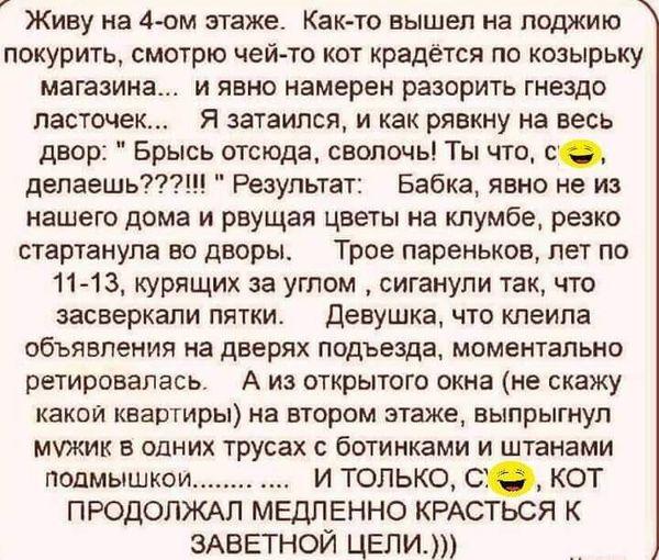 - Вот ты, Маш, думаешь, управлять мужчиной легче, чем автомобилем?... морозы, когда, который, только, полиция, дворе, Доктор, страдаю, галлюцинаций, прямо, звонит, всегда, собьют«Прерванный, особенно, инфинити, припарковаться, плохо, половой, части, негде