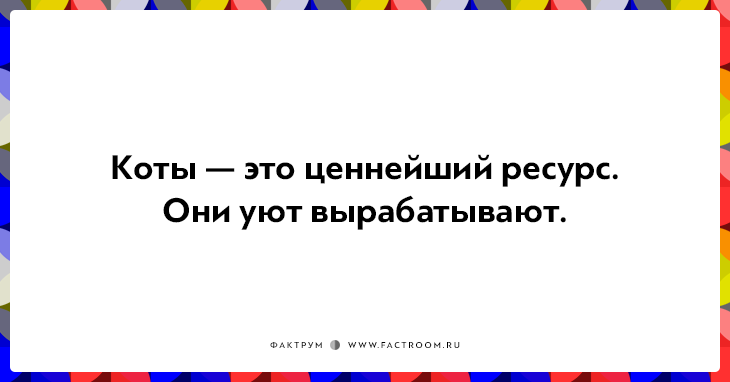 20 открыток о нелегкой жизни котов и их владельцев 20 открыток о нелегкой жизни котов и их владельцев