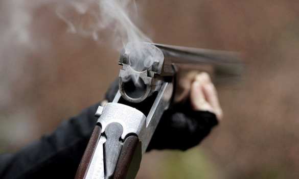 итальянцы ездили на «человеческие сафари» в 90-х годах | Русская весна