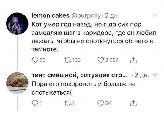 Прикольные картинки для ценителей чёрного юмора  