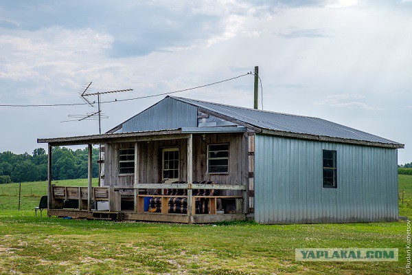 Объяснения нелепых законов законы,нелепости
