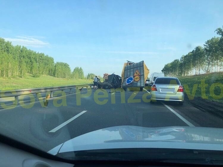 Куры на дороге Куры на дороге аварии,авто,дтп,НОВОСТИ,пдд,происшествия