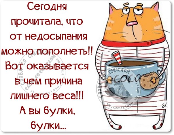 Прикольные незамысловатые фразочки в картинках 