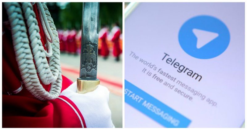Кубанские казаки проверят смартфоны краснодарцев на наличие Telegram Telegram, ynews, дружины, казаки, краснодар