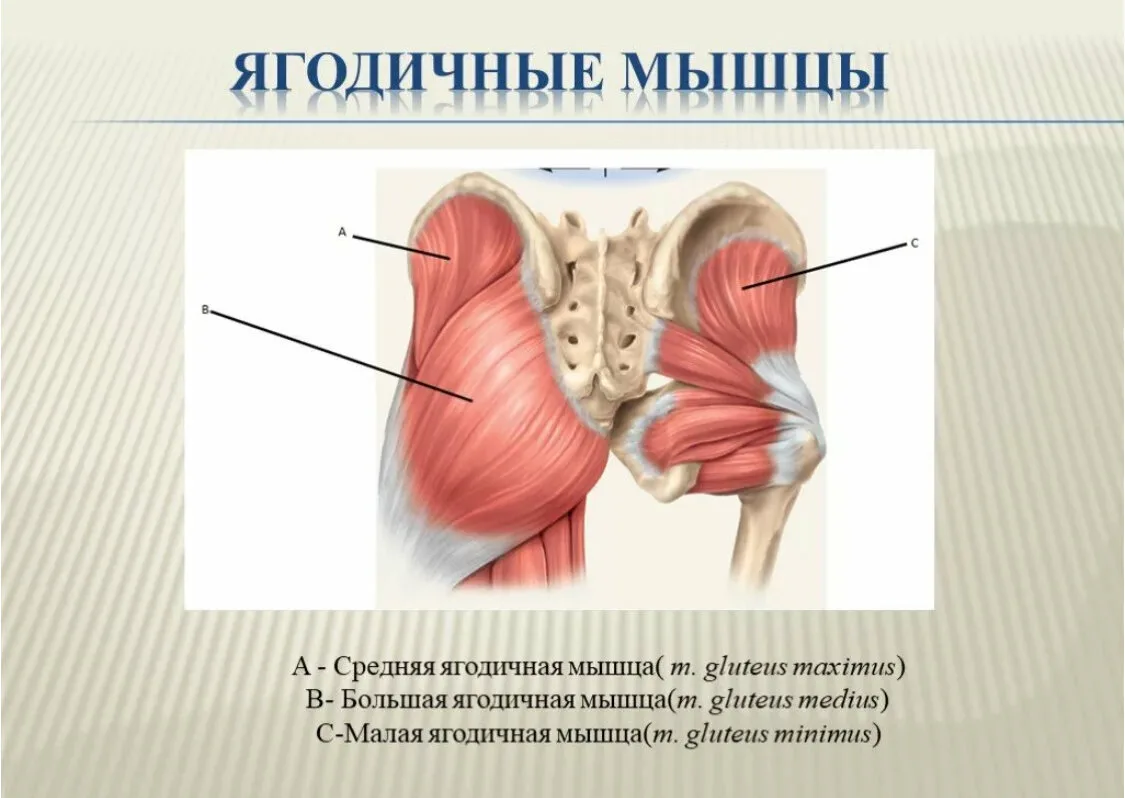 Я просто обожаю ходьбу, и это не только связано с отличным эффектом похудения от неё, но и с тем, что она очень полезна для здоровья.-3