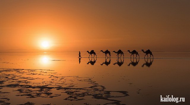   National Geographic 2015 (75 )