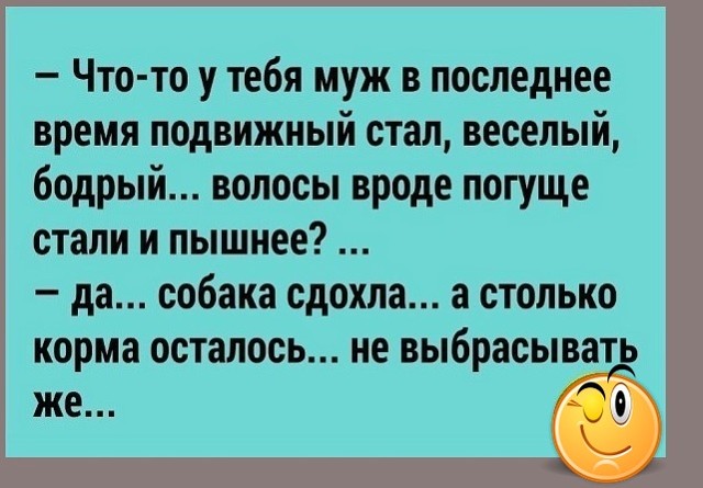 - Дорогой, почему ты отодвигаешь тарелку и ничего не ешь?... бой нурмагомедова и макгрегора