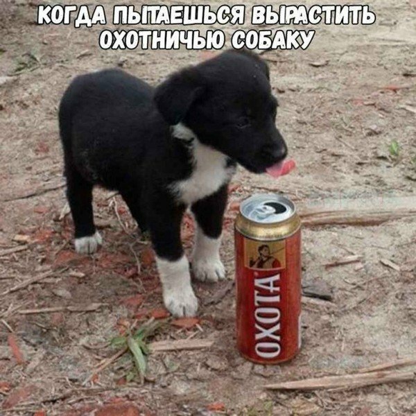 Юбилейная подборка интересных и веселых картинок №50 Юбилейная подборка интересных и веселых картинок №50 отдых