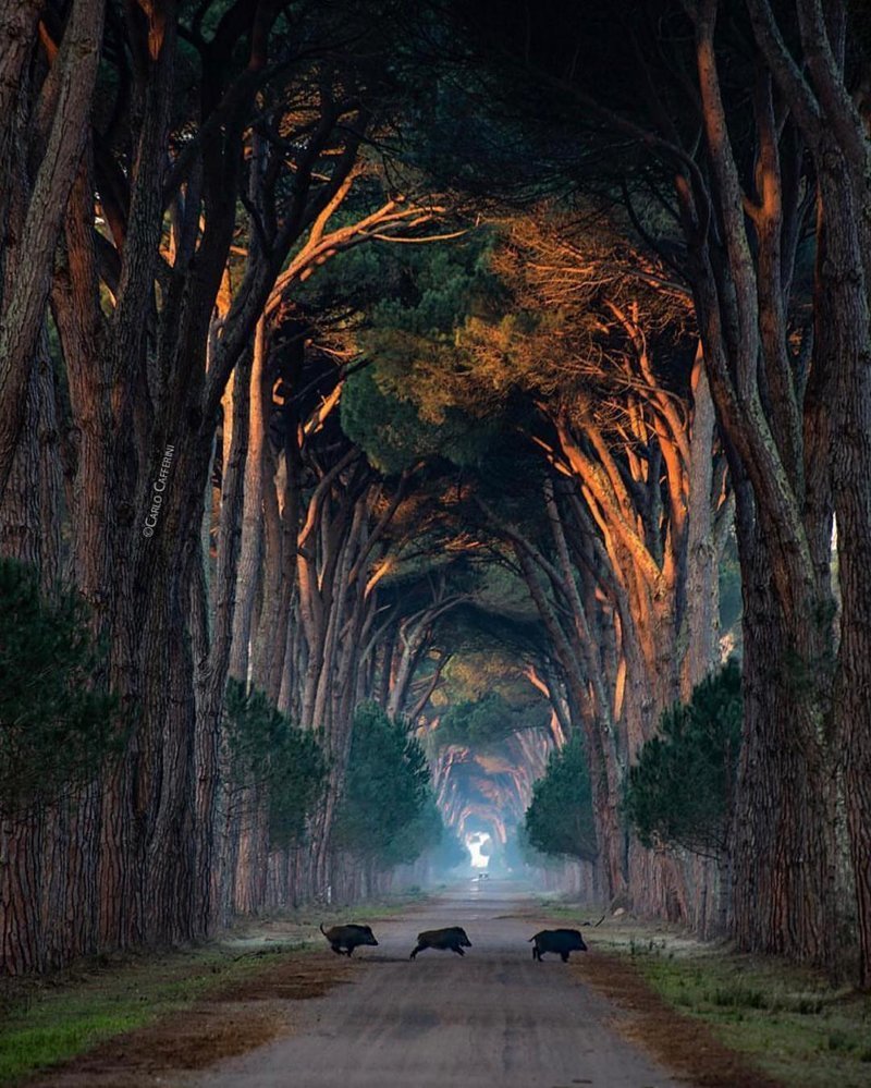 Tuscany, Italy Tuscany, Italy красивые места, мир, планета, природа, путешествия