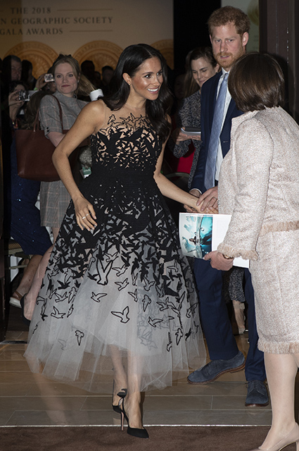 Меган Маркл в роскошном вечернем наряде и принц Гарри на церемонии вручения премий Australian Geographic в Сиднее монархии, меган маркл
