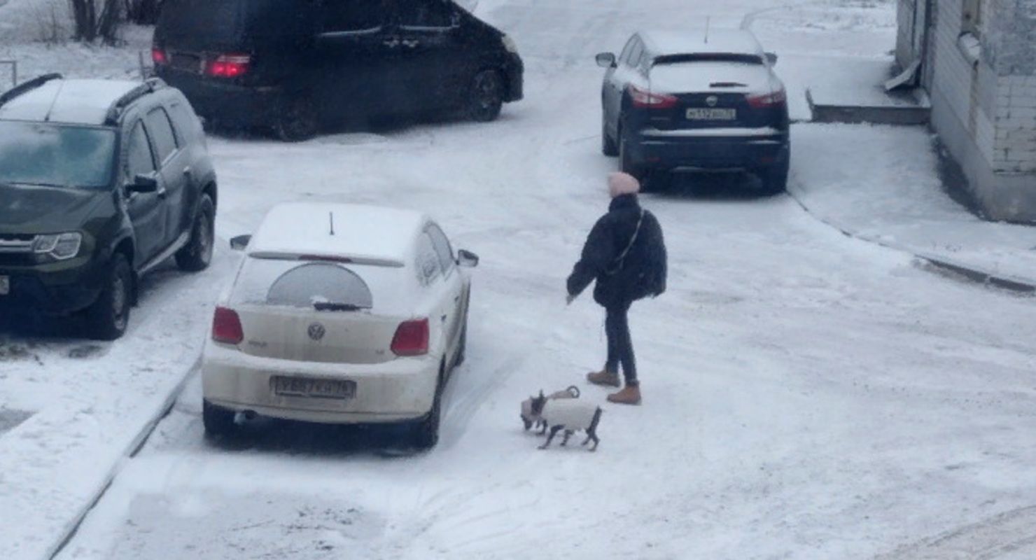 Можно ли заливать пусковую жидкость в старый мотор?