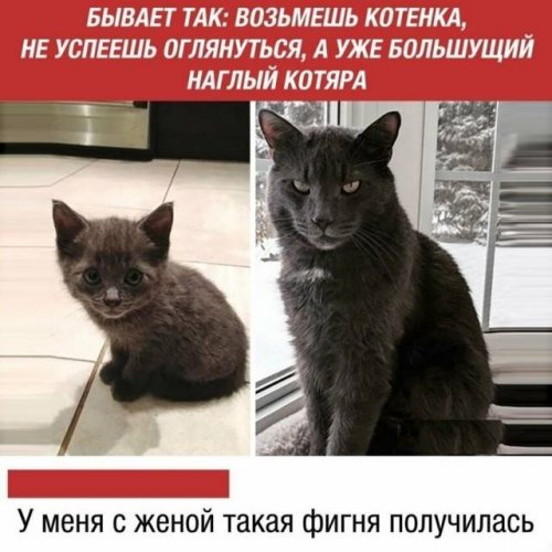 Народный юмор) анекдоты