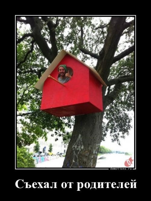 Прикольные демотиваторы для отличного настроения