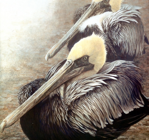 Художник Роберт Бейтман | Robert Bateman (363 работ)