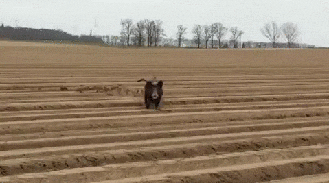 Подборка гифок Подборка гифок позитив