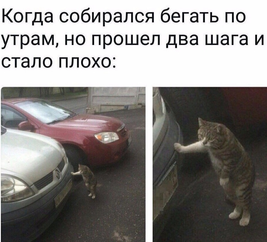 В семье жена отвечает за чистоту, - а муж за частоту веселые картинки