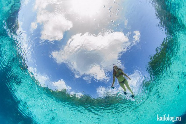   National Geographic 2015 (75 )