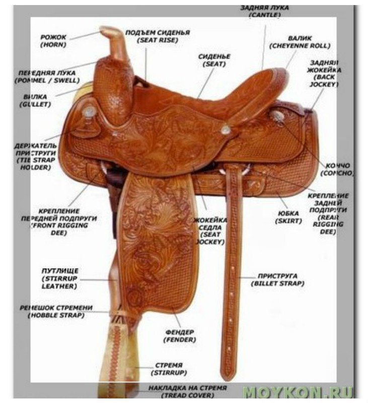 Из сего состоит седло интересное, лошади. факты, седла