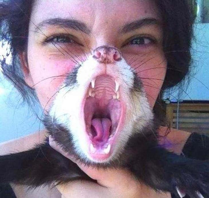 35 смешных до слез фотографии а-ля «в нужное время и в нужном месте» 35 смешных до слез фотографии а-ля «в нужное время и в нужном месте»