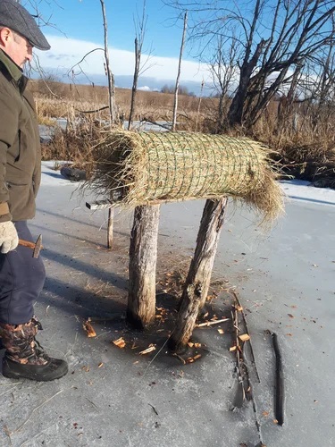 Гнезда для уток. Опыт специалистов