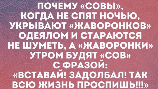 Спокойная работа, хорошая зарплата, добрый начальник – что еще надо человеку, чтобы наслаждаться бездельем?