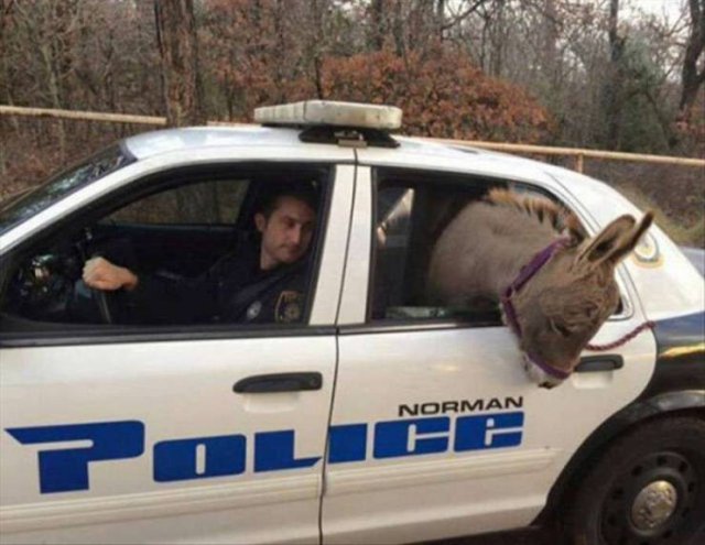 Фотоподборка воскресенья Фотоподборка воскресенья