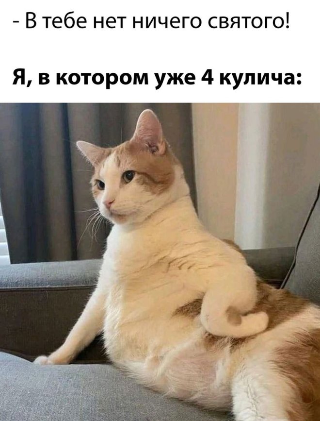 Смешные картинки с юмором и планы на лето Смешные картинки с юмором и планы на лето