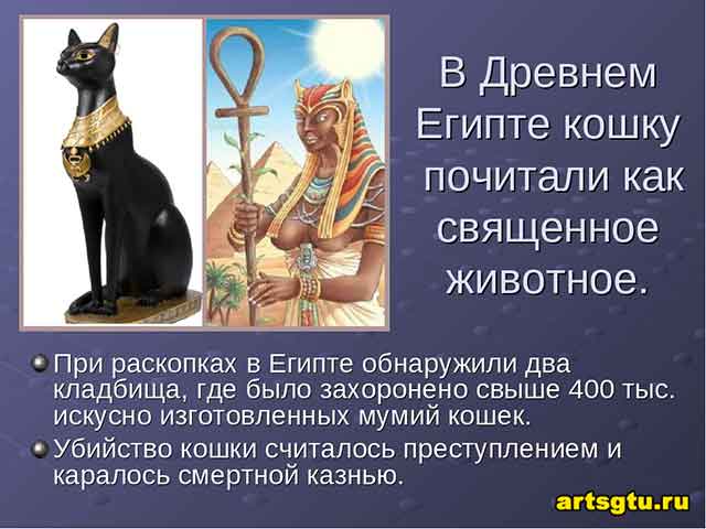 Почему кошки так почитались в Древнем Египте