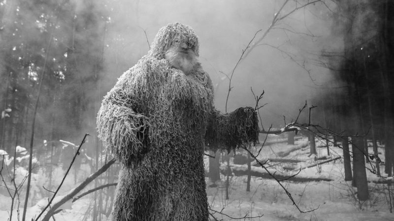 Ученые рассказали о результатах поиска снежного человека в Башкирии