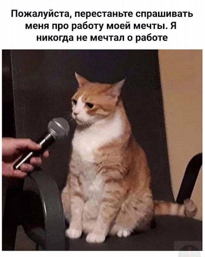 Смешные картинки с юмором и планы на лето Смешные картинки с юмором и планы на лето